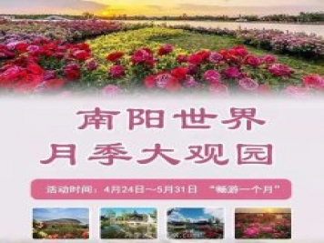 第十二届南阳月季花会4月29日开幕，活动丰富多彩