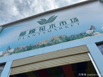 鄢陵县花木产业未必能想到的那些问题
