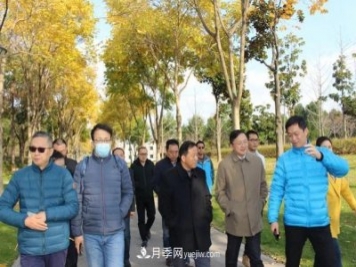 提升城市园林绿化，苏州向上海学什么？